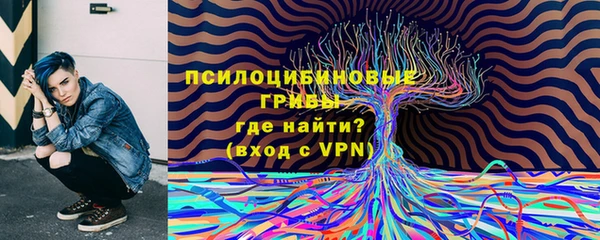 твердый Верея