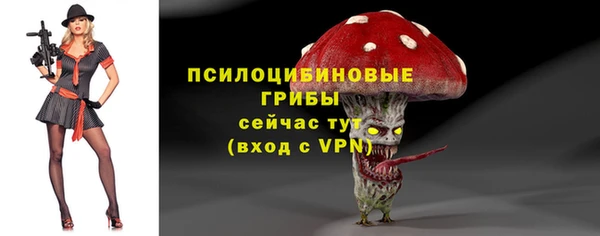 МДПВ Верхний Тагил